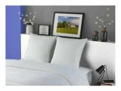 DODO 2 Almohadas Plumettes MERIBEL 60 x 60 cm Blanco