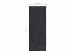 Clicnbuy Alfombra de pasillo atrapa suciedad 100x250 cm