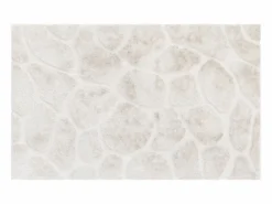 Discount Alfombra de pelo en relieve, 160 x 230 cm, , ARENSO Alfombra De Salón