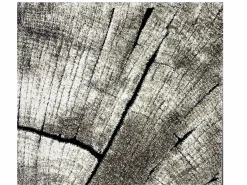 Alfombra Marla Diseño Moderno Árbol, Natural, 160 cm redondo Alfombra Redonda