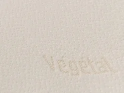 Best Almohada ergonómica con memoria de forma VEGETAL 60x60 Almohada