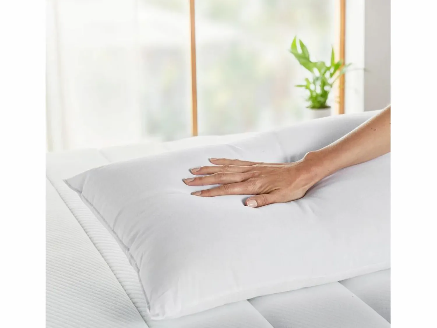 Clearance Almohada 40x70cm | HOME | Fibra | Antialérgica | 100% Algodón Almohada