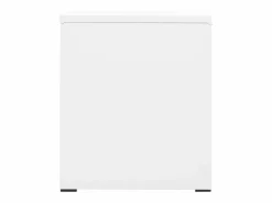 vidaxl Armario archivador de acero 46x62x72,5 cm