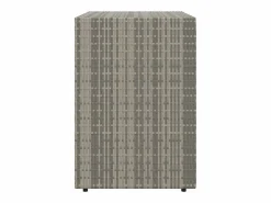 vidaxl Armario de almacenaje de jardín ratán PE 100x55,5x80 cm