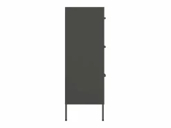 vidaxl Armario de almacenamiento 80x35x101,5 cm acero