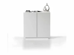 Armario multiusos Easy con 2 puertas mate 79,20x38x86 cm