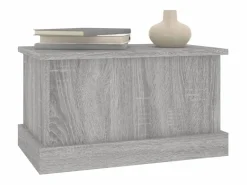 Discount Baúl almacenaje madera contrachapada sonoma 50x30x28 cm ES666404 Gris