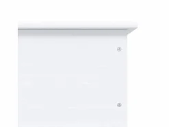 vidaxl Baúl almacenaje ruedas ALTA madera maciza 73x39,5x43 cm