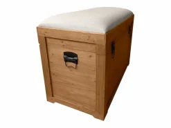 OZAIA Baúl banco con cojín de lino - L. 80 x P. 40 x A. 53 cm - natural y beige - TURZA