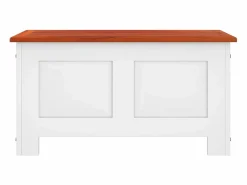 Hot Baúl de almacenaje con tapa madera de acacia marrón y ES259414 Blanco
