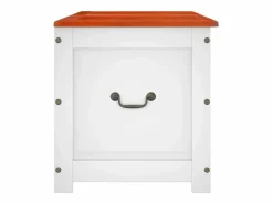 Baúl de almacenaje con tapa madera de acacia marrón y ES641844