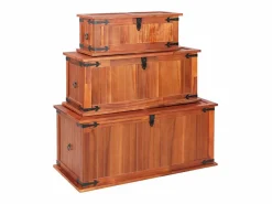 vidaxl Baúl de almacenamiento 3 piezas de madera maciza de acacia