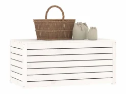 Online vidaxl Baúl de jardín madera maciza de pino 101x50,5x46,5 cm Blanco