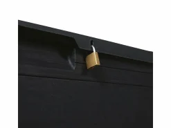 Best Baúl de jardín TOOMAX WOODY'S 160L en resina reciclada con aspecto de madera antracita, anti-UV, con cerradura, Made in Italy Baúl De Jardín