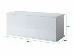 Outlet Baúl para Dormitorio en 100x40x40cm Ariel Baúl Y Arcón|Accesorios De Almacenaje
