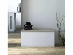 Best Banco baúl para contenedor de almacenamiento de entrada salón Baúl Y Arcón|Accesorios De Almacenaje