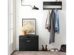 Hot Sobuy Banco Zapatero con 1 Solapa para Entrada Banco de Almacenamianto con Cojín Acolchado de Asiento 60 x 30 x 50 cm FSR95-SCH ES Negro