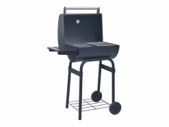 Discount vidaxl Barbacoa de carbón con ahumador y estante inferior Negro