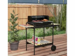 Best Barbacoa de carbón con ahumador, parrilla regulable, estante de madera, carro móvil de acero (103x47x95cm) Barbacoa