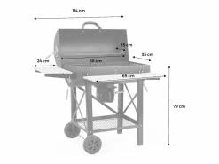Sweeek Barbacoa de carbón