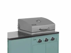 Clearance Barbacoa de gas con 3 quemadores, 3 puertas y termómetro gris Barbacoa