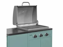 Clearance Barbacoa de gas con 3 quemadores, 3 puertas y termómetro gris Barbacoa