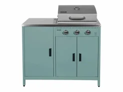 Clearance Barbacoa de gas con 3 quemadores, 3 puertas y termómetro gris Barbacoa