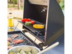 Best Barbacoa de gas con 3 quemadores y 1 quemador lateral Barbacoa
