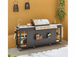 Outlet Barbacoa de gas de 5 quemadores con 1 quemador lateral Barbacoa
