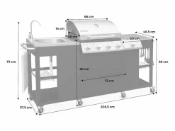 Outlet Barbacoa de gas de 5 quemadores con 1 quemador lateral Barbacoa