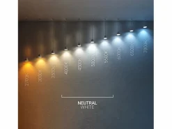 Best Bombilla LED GU10 6W 550 lm 100º No Flicker 4000K Neutro Bombilla