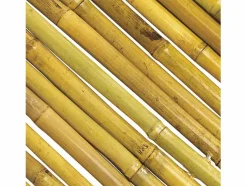 Clearance Cañizo entero barnizado bambooflex 1,5X3 M Cercados Y Ocultación