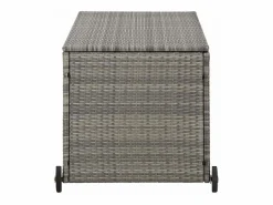 New vidaxl Caja almacenaje jardín ratán sintético claro 120x65x61 cm Gris