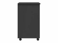 Online vidaxl Cajonera con ruedas MOSS madera maciza de pino Gris