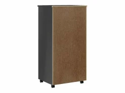 vidaxl Cajonera con ruedas MOSS madera maciza de pino Gris