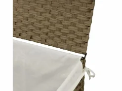 Online Cesta para ropa con tapa 55,5x35x34 cm resina tejida Marru00f3n
