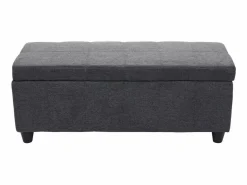 MCW Cofre de almacenamiento Kriens, gris oscuro