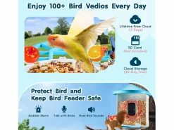 Outlet Comederos para Aves Inteligente SucceBuy con Cámara, 2K HD, Especies IA, Alimentado por Energía Solar Azul