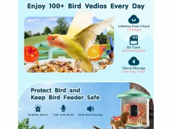 Comederos para Aves Inteligente SucceBuy con Cámara, 2K HD, Especies IA, Alimentado por Energía Solar