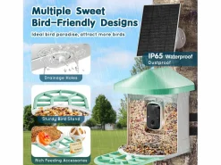 Comederos para Aves Inteligente SucceBuy con Cámara, 2K HD, Especies IA, Alimentado por Energía Solar