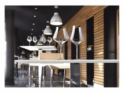 Outlet Chef & Sommelier Copas de vino Reveal'Up 21cl - Juego de 6