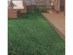 Clearance NORTENE Césped artificial Zurich Evolution - 30 mm - 2x4 m Verde