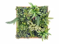 Discount OZAIA Cuadro vegetal sintético 55 x 55 cm, Marco natural, Follaje , LOVARK Verde