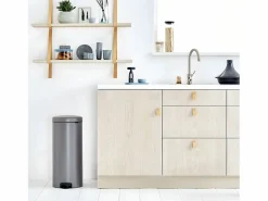 Brabantia Cubo de Basura con Pedal NewIcon 30L Platinum Código G Metálico 30L Cierre Silencioso Antiolor