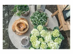 Sale House Nordic Cuenco de teca Ø 40 x 12 cm Marru00f3n