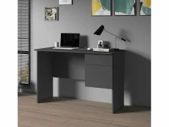 New Escritorio Easy con 1 puerta y 1 cajón, color antracita mate, 110 x 50 x 75 cm Escritorio Secreter