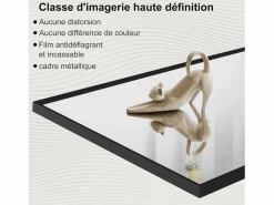 Sale Espejo de cuerpo entero irrompible de 63 x 173 cm, de pie o para colgar en la pared, espejo de suelo grande, Espejo