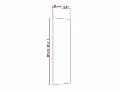 Discount Espejo de puerta 30x100 cm Cristal y aluminio Dorado