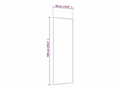 Espejo de puerta 40x100 cm Cristal y aluminio