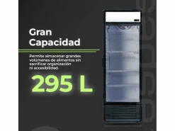 Frigorífico Aspes ARH185601D cíclico 295L D 185 cm